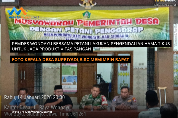 Pemdes Wonoayu Bersama Petani Lakukan Pengendalian Hama Tikus untuk Jaga Produktivitas Pangan